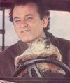 Groundhogday